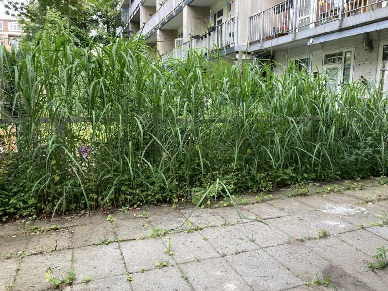 Orteliusstraat 127II