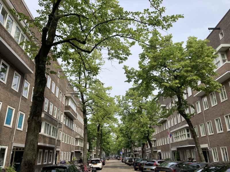 Orteliusstraat 127II