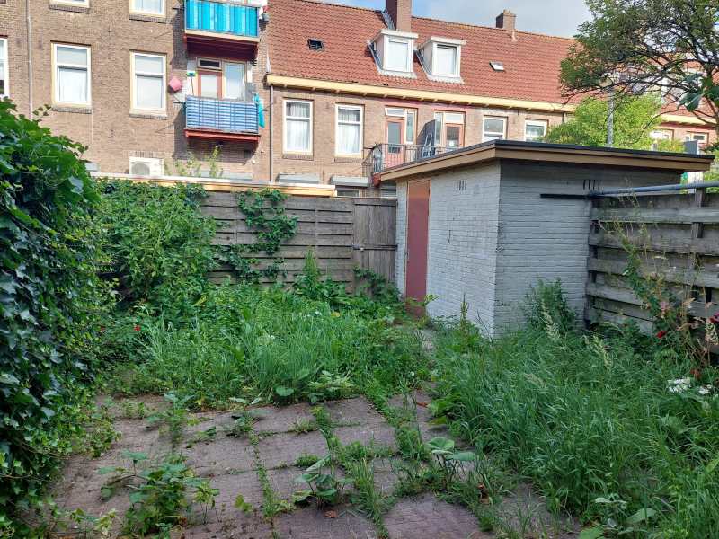 Jac. P. Thijsseplein 15