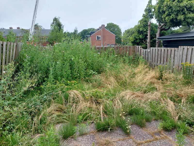 Jan van Gentstraat 69