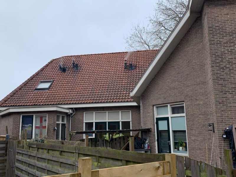 Koning Williamstraat 81