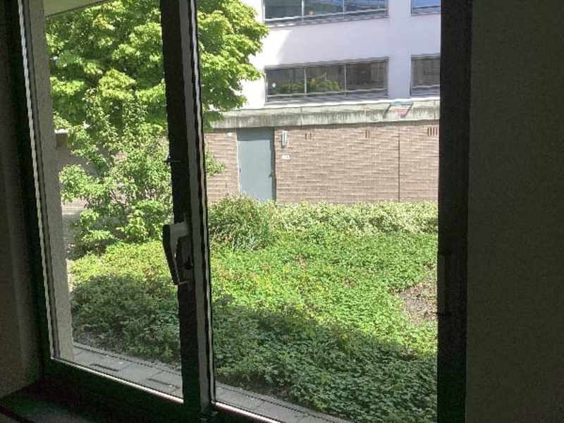 Bos en Lommerplantsoen 64