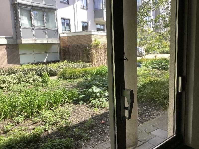 Bos en Lommerplantsoen 64