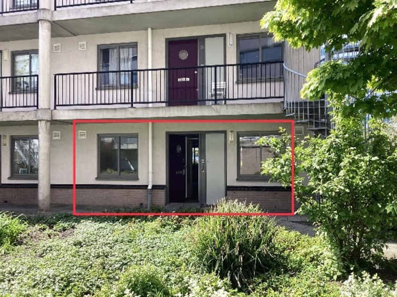 Bos en Lommerplantsoen 64, 1055 SC Amsterdam, Nederland