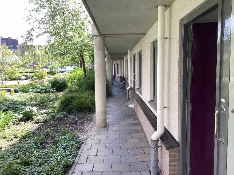 Bos en Lommerplantsoen 64