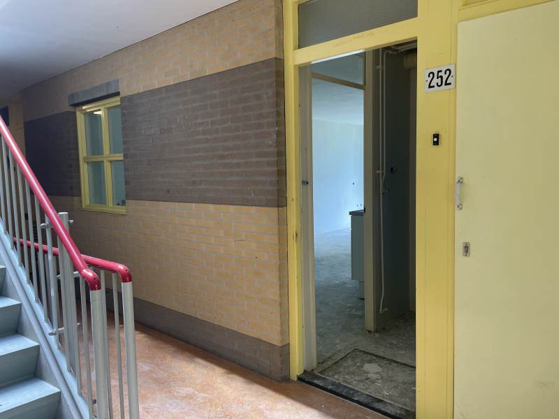 Dominee Martin Luther Kingweg 252