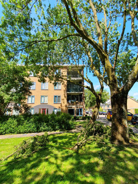 Burgemeester Lammerschaagstraat 21