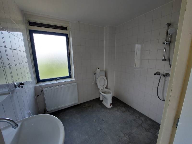 Graan voor Visch 16525