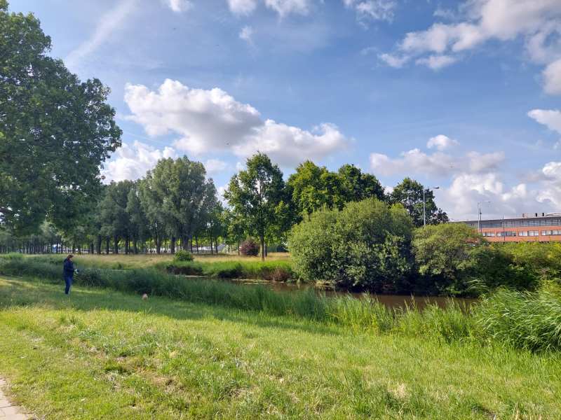 Graan voor Visch 16525