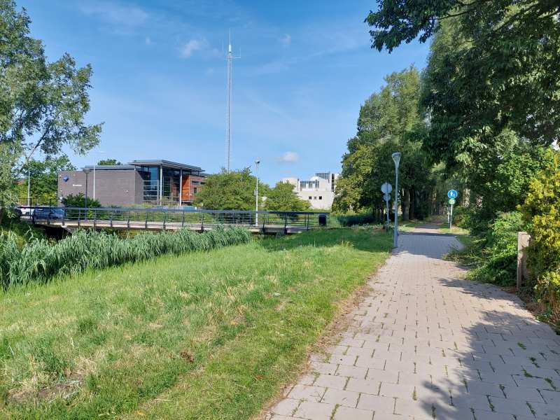 Graan voor Visch 16525