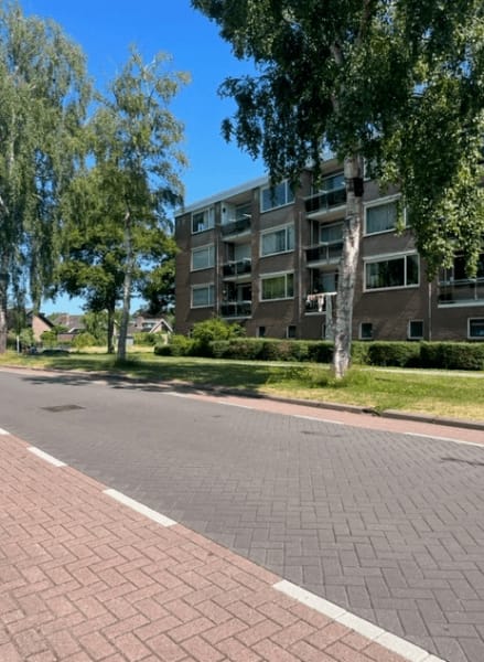 Pijpkruidstraat 40