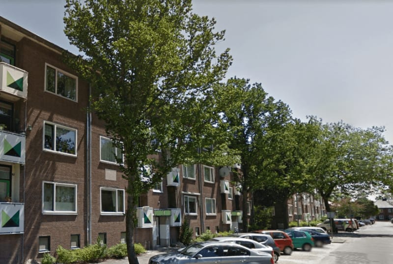 Lijns Tewisz Roggeplein 52