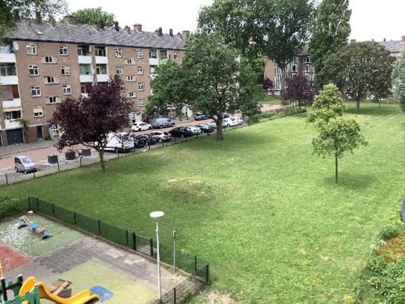 Brisselkerkstraat 17