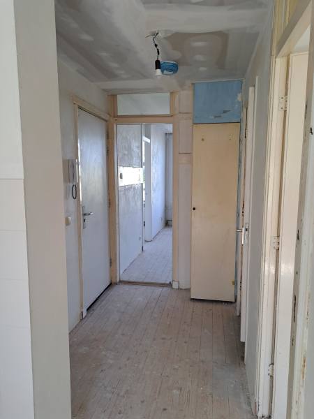 Adolf van Nassaustraat 37