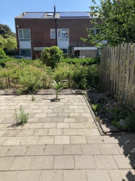 Pieter Calandplantsoen 2