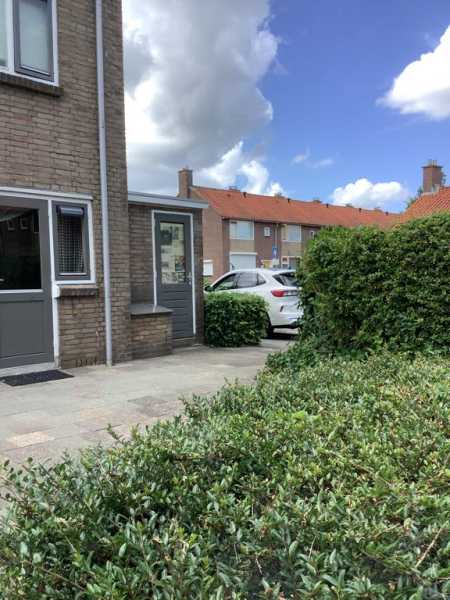 Pinksterbloemstraat 19