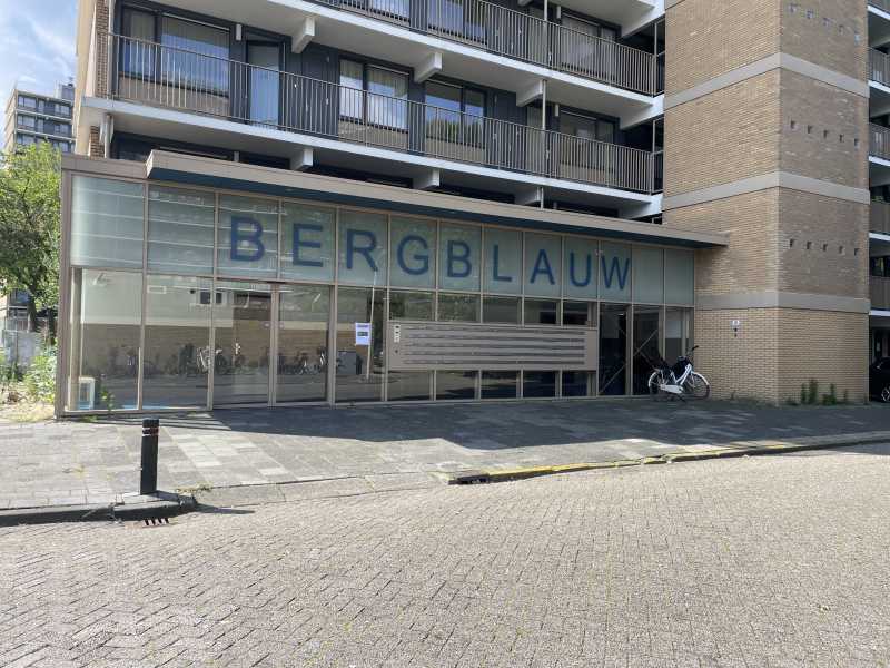 Bergblauwstraat 152