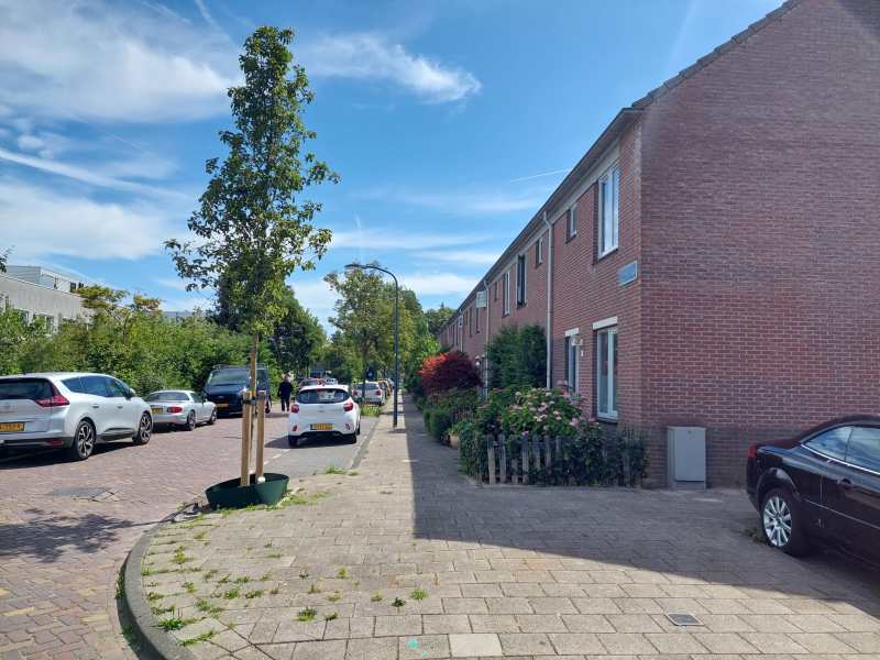 Westermanstraat 34