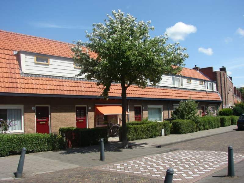 Paus Leostraat 3, 2033 KH Haarlem, Nederland