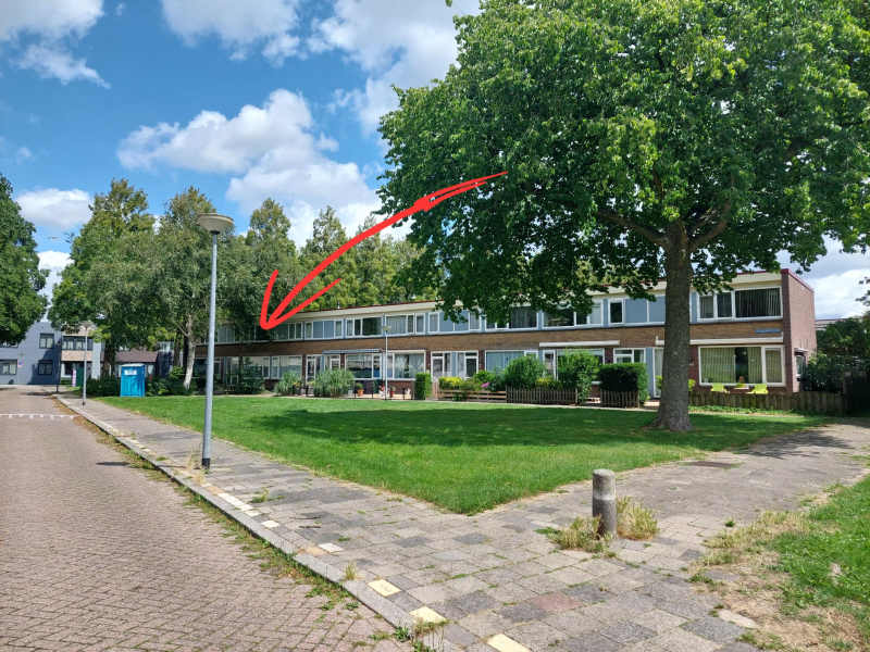 Sinnigvelderstraat 52