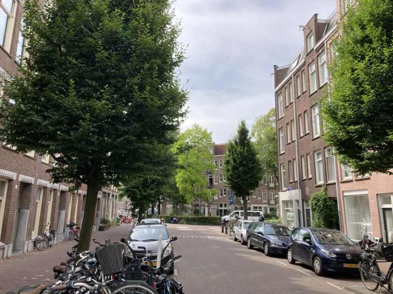 Groen van Prinstererstraat 91II
