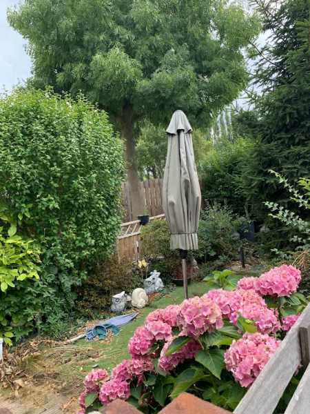 De Sint Willebrordus 34