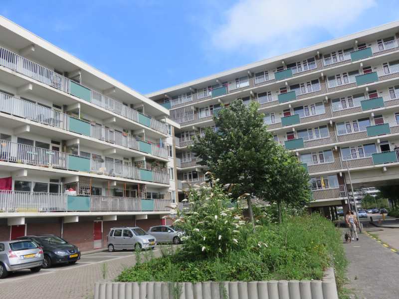 Lorentzstraat 98, 2041 SE Zandvoort, Nederland