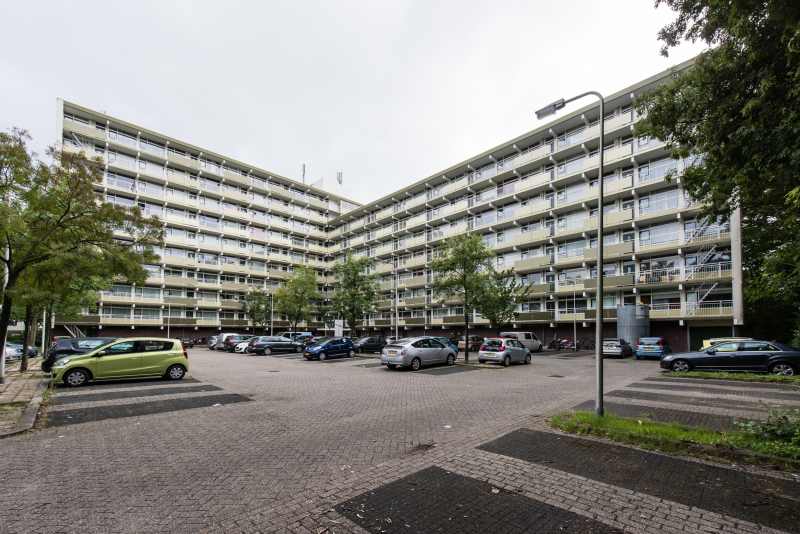 Couwenhoven 2305