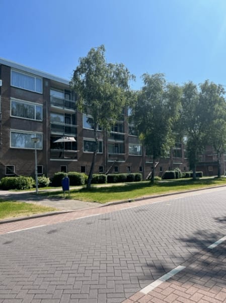 Pijpkruidstraat 70