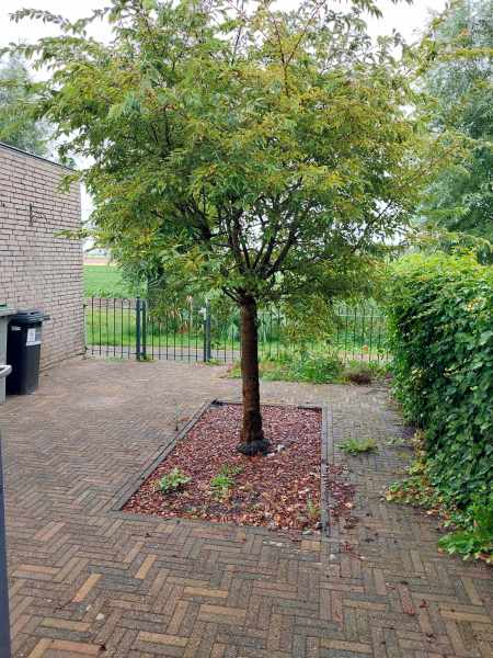 Maria Margaretalaan 47