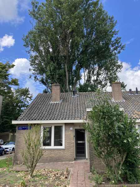 Carry van Bruggenstraat 1