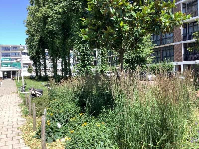 Bouwen Ewoutszstraat 18