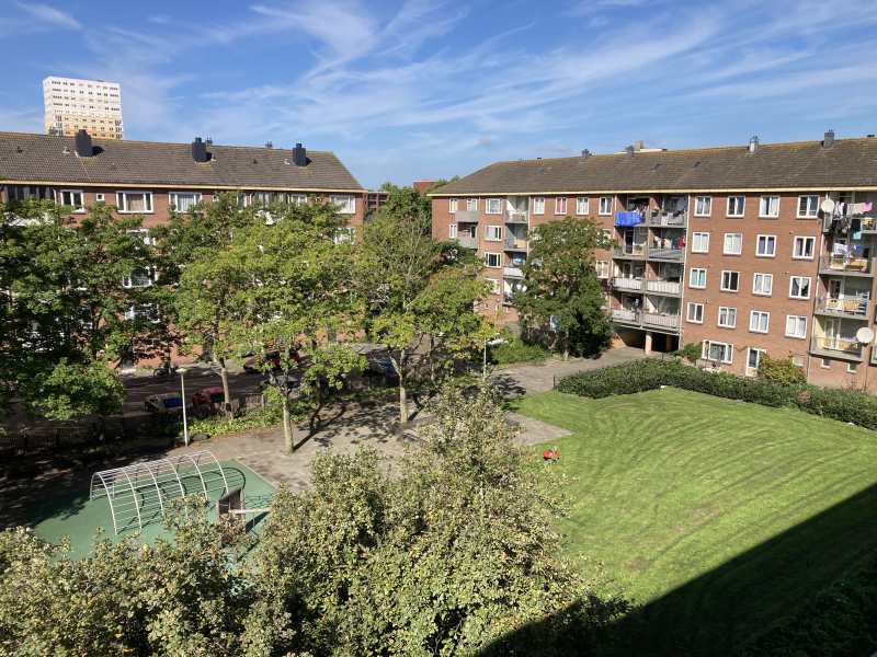 Waalenburgsingel 214