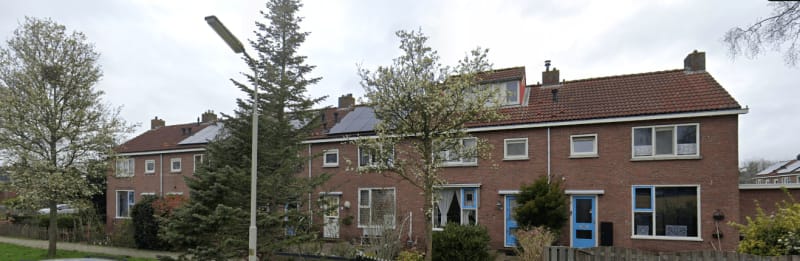 Anemoonstraat 17