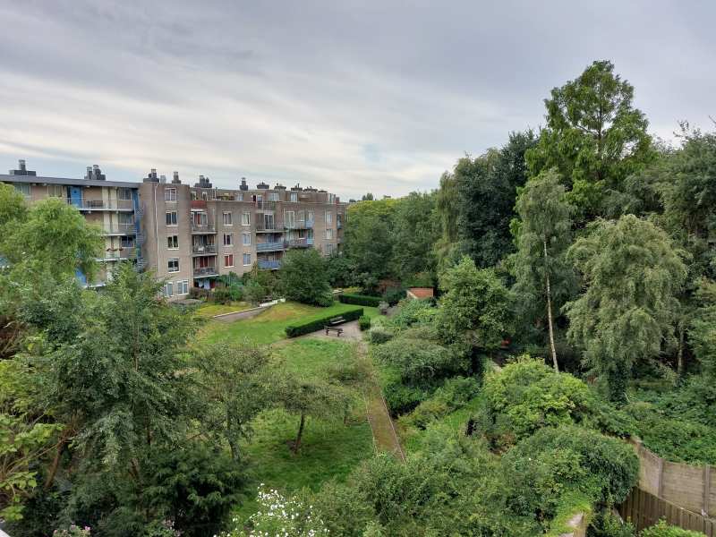 Nova Zemblastraat 507