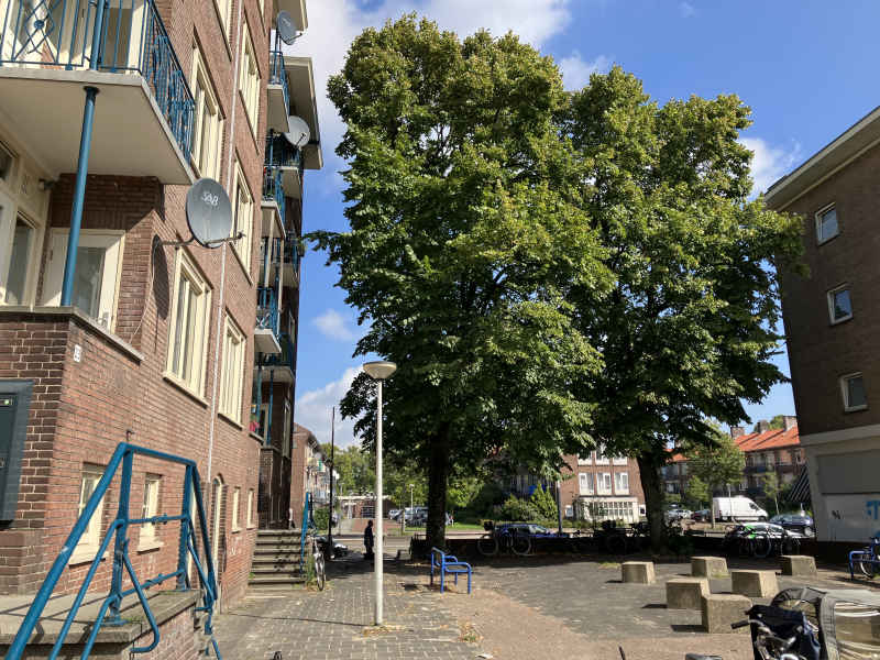 Sape Kuiperplantsoen 23