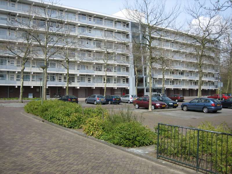 Regenboogstraat 119