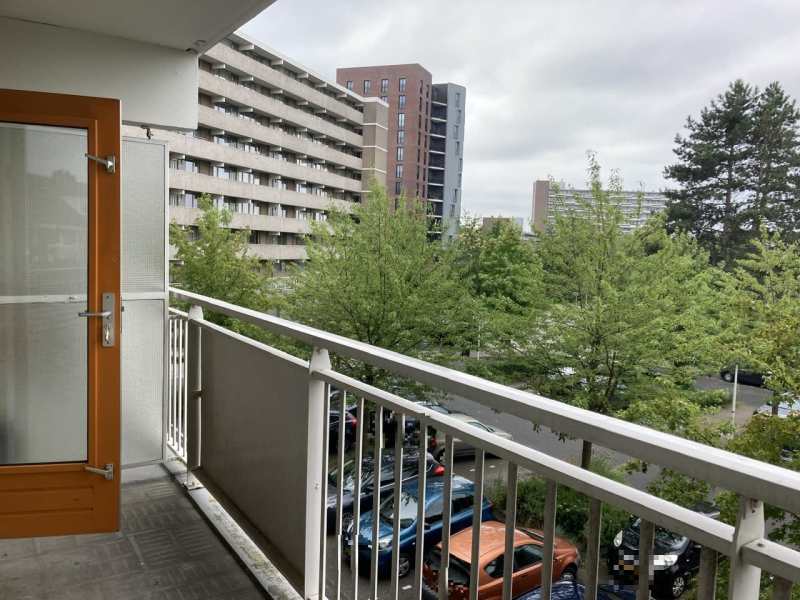 Albert Loethoelistraat 204