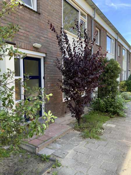 Louis Couperusstraat 7, 1962 GP Heemskerk, Nederland