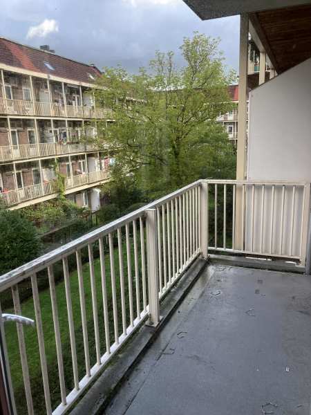 Hasebroekstraat 110B