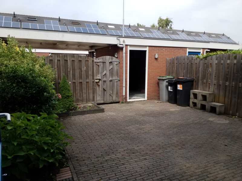 Graan voor Visch 16302