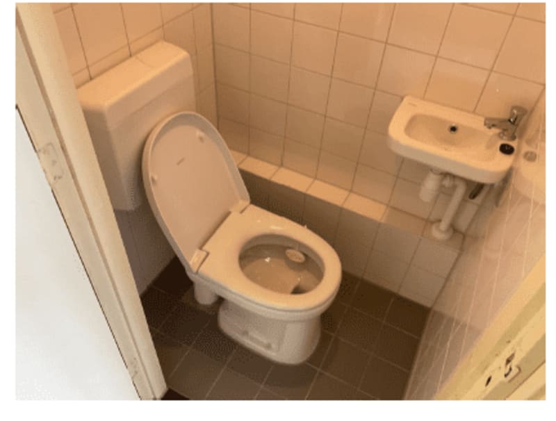 Oostelijk Halfrond 377