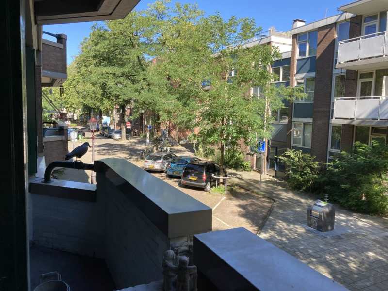 Van der Duijnstraat 174