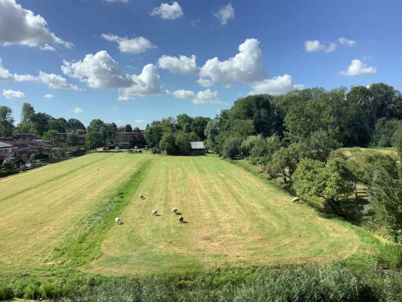 De Savornin Lohmanweg 8D