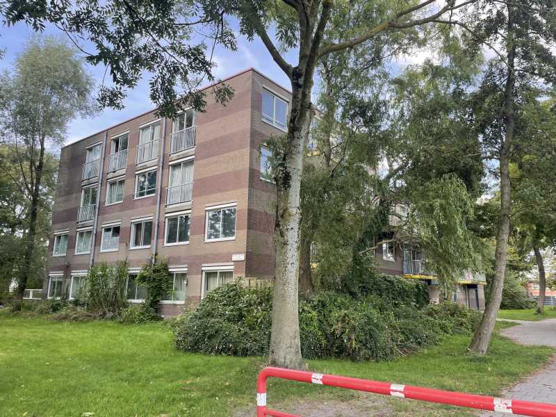 Dominee Martin Luther Kingweg 261