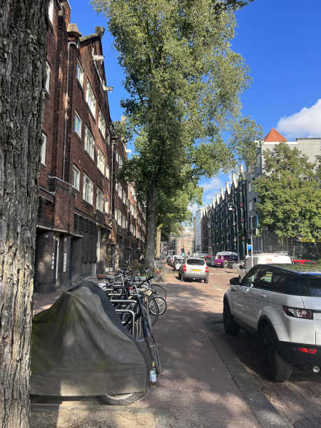 Nieuwe Uilenburgerstraat 56
