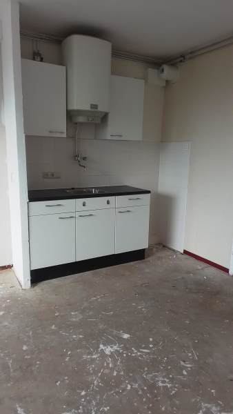 Graan voor Visch 13961