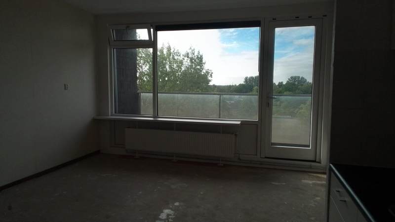 Graan voor Visch 13961