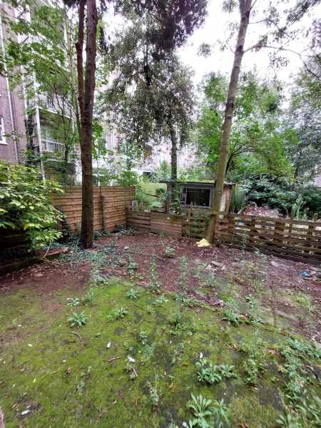 Eerste Hugo de Grootstraat 46III