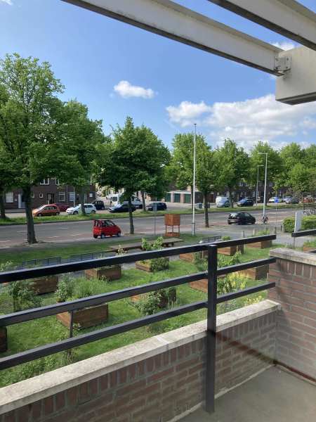 S.F. van Ossstraat 229